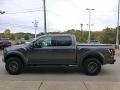  2019 Ford F150 Magnetic #5