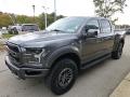  2019 Ford F150 Magnetic #6