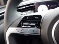  2024 Hyundai Santa Cruz Limited AWD Steering Wheel #24