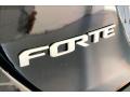  2023 Kia Forte Logo #30