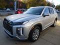  2024 Hyundai Palisade Typhoon Silver #7