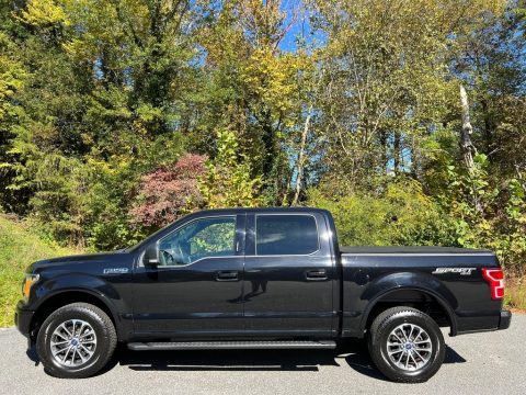 Agate Black Ford F150 XLT Sport SuperCrew 4x4.  Click to enlarge.