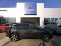 2024 Hyundai Tucson SEL Convenience Hybrid AWD