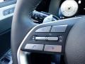  2024 Hyundai Palisade SEL AWD Steering Wheel #23