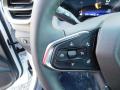  2024 Chevrolet Trailblazer ACTIV AWD Steering Wheel #25