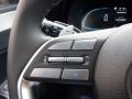  2024 Hyundai Palisade XRT AWD Steering Wheel #21