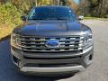  2021 Ford Expedition Magnetic Metallic #3