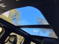 Sunroof of 2021 Ford Expedition Limited Max #32