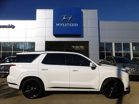 Hyper White Hyundai Palisade Calligraphy Night Edition AWD.  Click to enlarge.