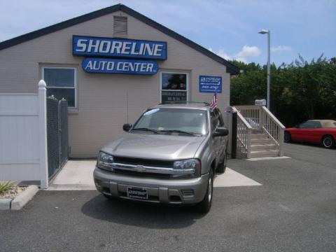 Light Pewter Metallic Chevrolet TrailBlazer LS 4x4.  Click to enlarge.