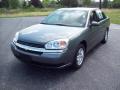 2005 Malibu LS V6 Sedan #2