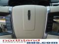 2010 MKZ FWD #19