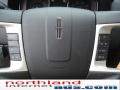 2010 MKX AWD #19