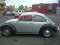 1976 Beetle Coupe #1