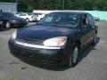 2004 Malibu Sedan #3