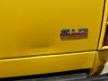 2004 Ram 1500 SLT Rumble Bee Regular Cab #12