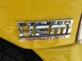 2004 Ram 1500 SLT Rumble Bee Regular Cab #13