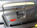 2004 Ram 1500 SLT Rumble Bee Regular Cab #17
