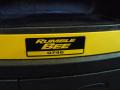 2004 Ram 1500 SLT Rumble Bee Regular Cab #28