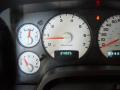 2004 Ram 1500 SLT Rumble Bee Regular Cab #31