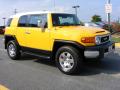 2008 FJ Cruiser 4WD #2