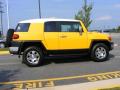 2008 FJ Cruiser 4WD #17