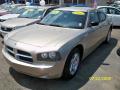 2009 Charger SXT #3 2009 Charger SXT #3
