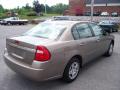 2008 Malibu Classic LS Sedan #10