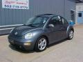 2004 New Beetle GLS 1.8T Coupe #2