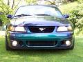  2004 Ford Mustang Mystichrome Metallic #2