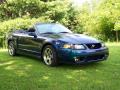  2004 Ford Mustang Mystichrome Metallic #3