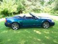  2004 Ford Mustang Mystichrome Metallic #4