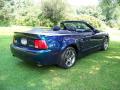 2004 Mustang Cobra Convertible #5