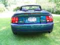 2004 Mustang Cobra Convertible #6