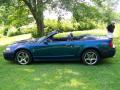  2004 Ford Mustang Mystichrome Metallic #8