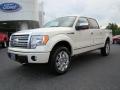 2009 F150 Platinum SuperCrew 4x4 #6