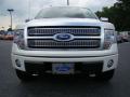 2009 F150 Platinum SuperCrew 4x4 #7