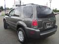 2006 Mariner Luxury 4WD #3