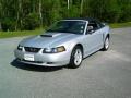 2004 Mustang GT Convertible #1