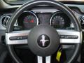 2008 Mustang GT/CS California Special Coupe #22