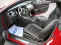 2010 Mustang GT Premium Coupe #8