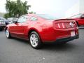 2010 Mustang V6 Coupe #21