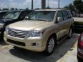 2009 LX 570 #2