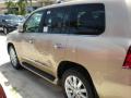 2009 LX 570 #3