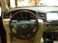 2009 LX 570 #16