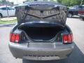 2004 Mustang V6 Coupe #12