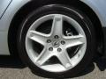 2006 TL 3.2 #20