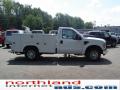 2009 F250 Super Duty XL Regular Cab #1