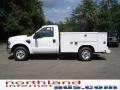 2009 F250 Super Duty XL Regular Cab #5