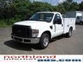 2009 F250 Super Duty XL Regular Cab #11